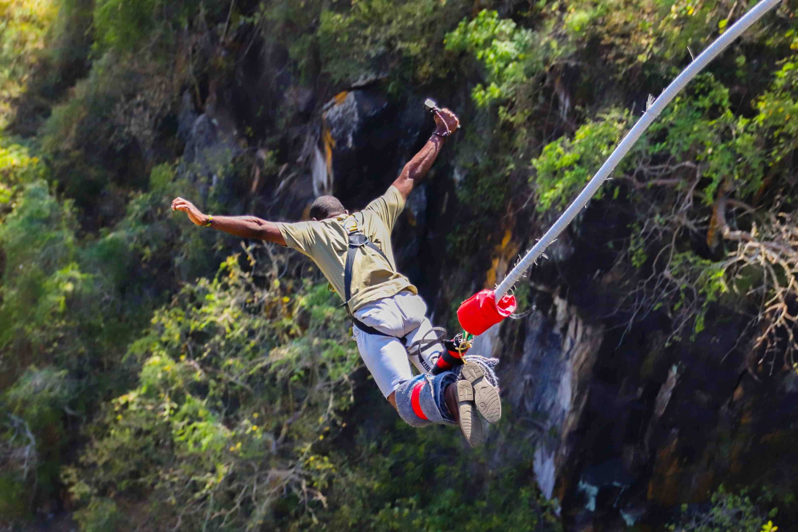 bunjyjump