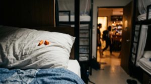 social hostels